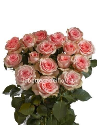 Rose rosa a steli, lunghezza 60 cm